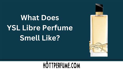 ysl libre vanilla perfume|YSL libre perfume smell like.